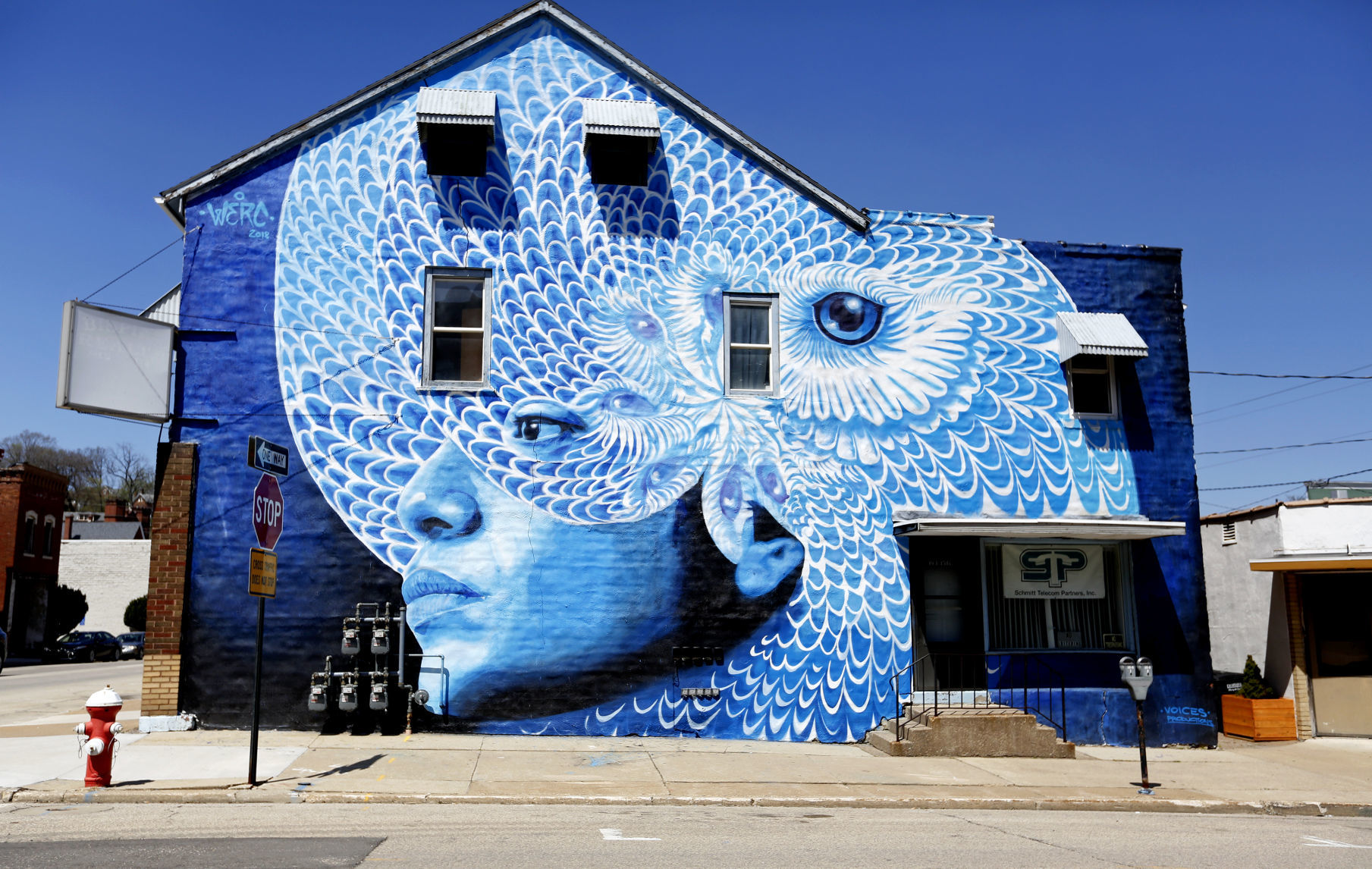 Murals Owls Moon